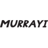 MurrayiLamps